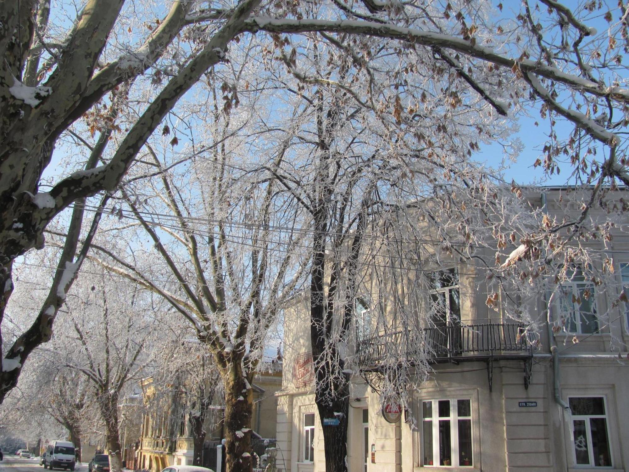 Residenza Dutzu-Boutique Hotel Brăila Esterno foto