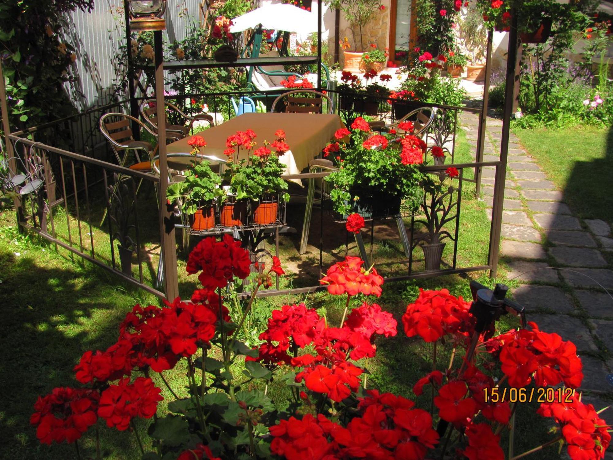Residenza Dutzu-Boutique Hotel Brăila Esterno foto