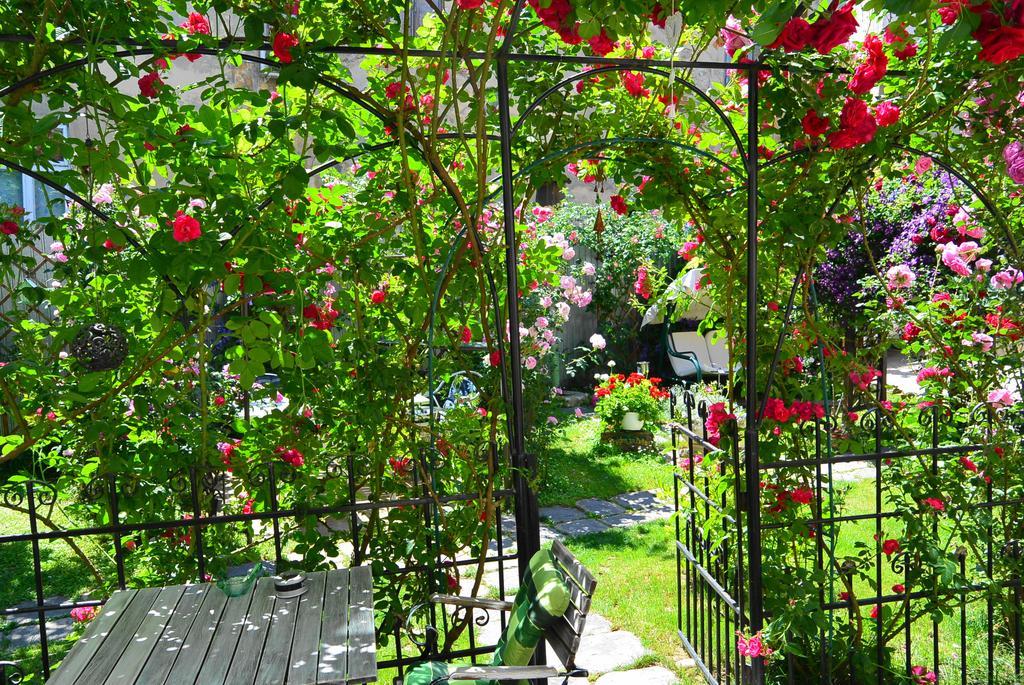 Residenza Dutzu-Boutique Hotel Brăila Esterno foto