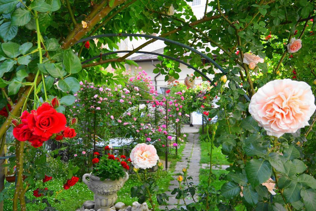 Residenza Dutzu-Boutique Hotel Brăila Esterno foto