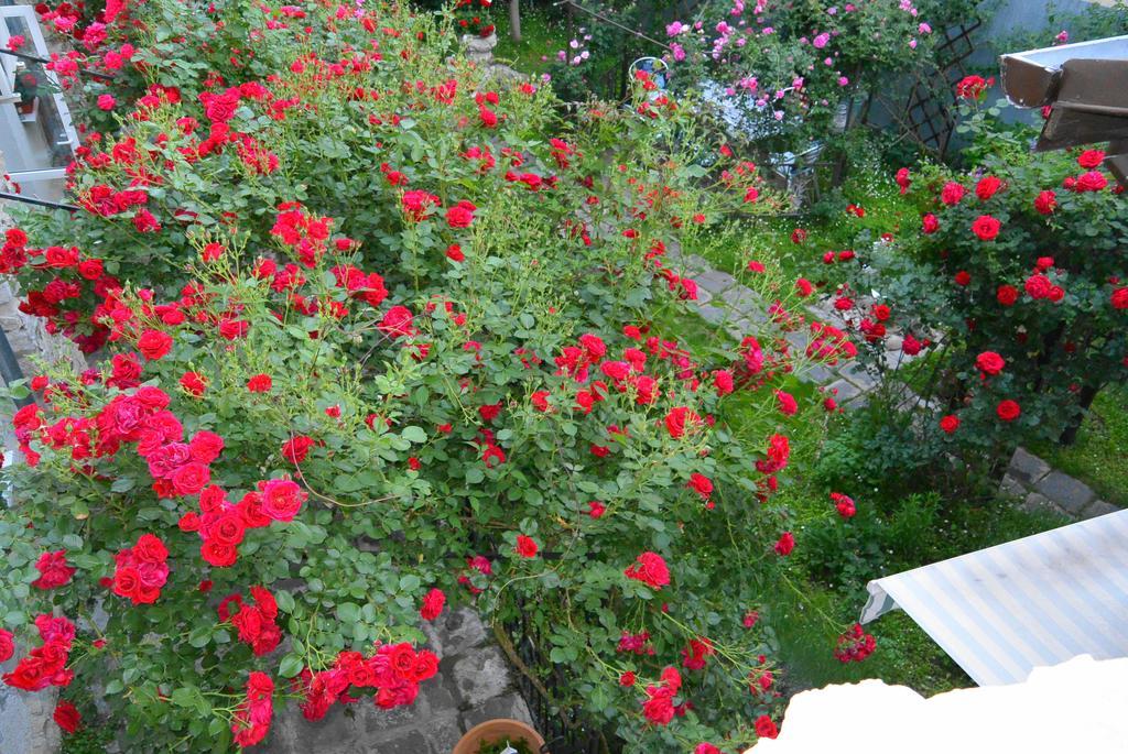 Residenza Dutzu-Boutique Hotel Brăila Esterno foto