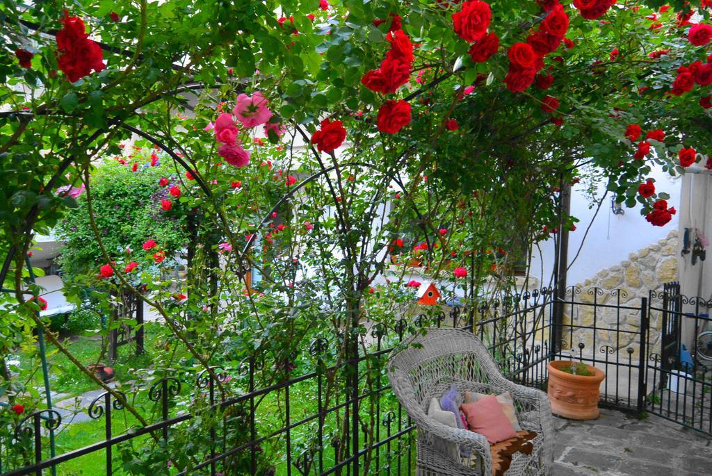 Residenza Dutzu-Boutique Hotel Brăila Esterno foto