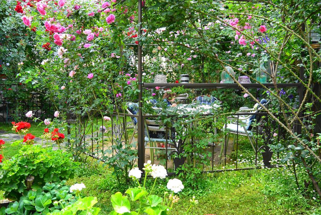 Residenza Dutzu-Boutique Hotel Brăila Esterno foto