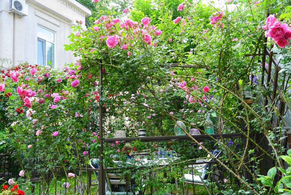 Residenza Dutzu-Boutique Hotel Brăila Esterno foto