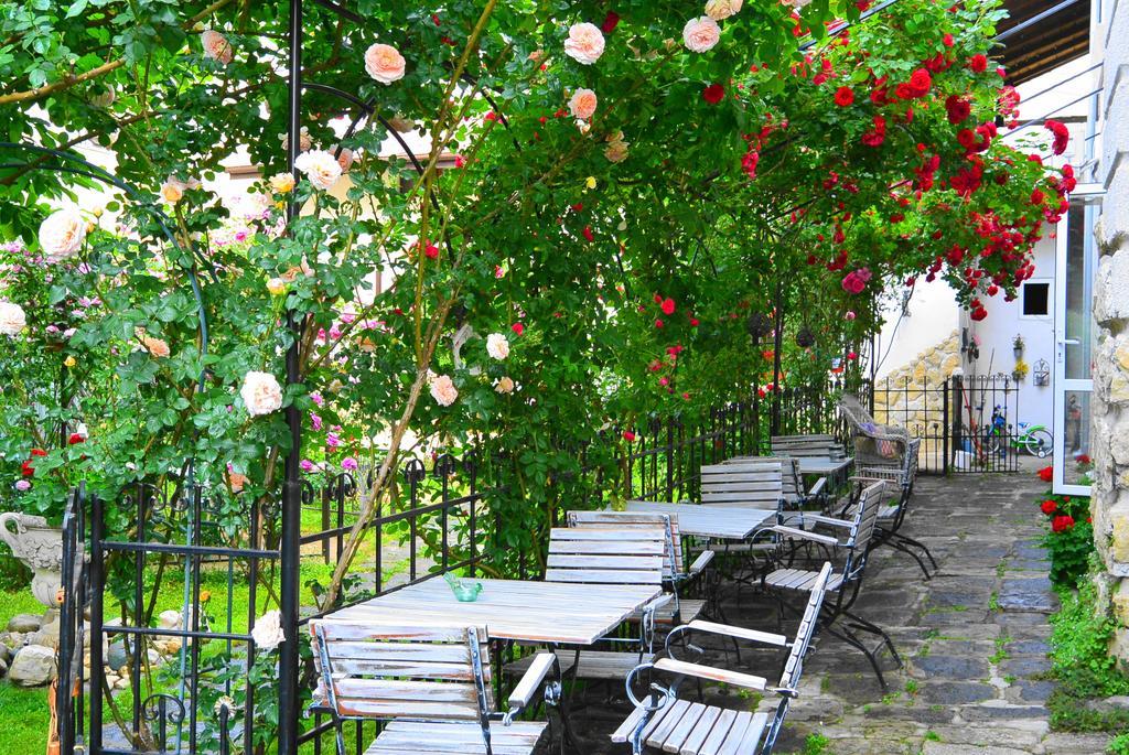 Residenza Dutzu-Boutique Hotel Brăila Esterno foto