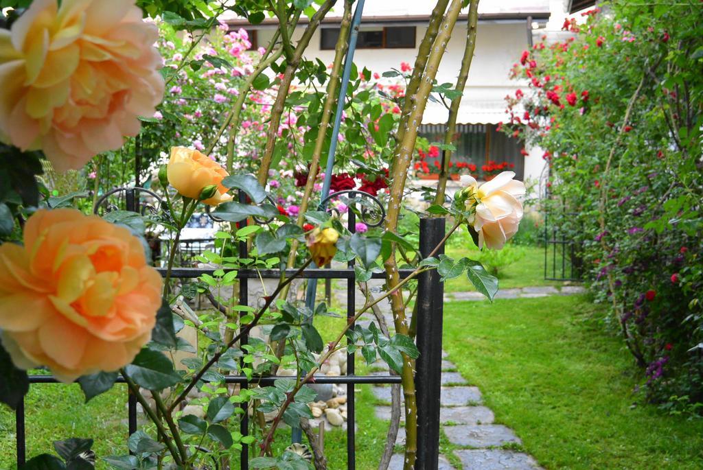 Residenza Dutzu-Boutique Hotel Brăila Esterno foto