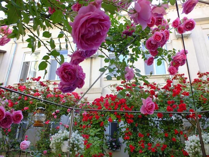 Residenza Dutzu-Boutique Hotel Brăila Esterno foto